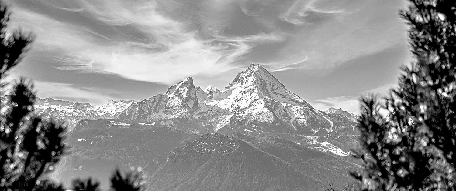 alpina-ros-demming-20260209-001